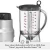 Breville BBL620SIL Fresh and Furious Blender, Silver(Royal Champagne)