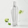 Sur La Table Double-Wall Classic Shaker, Silver