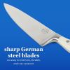 Sur La Table Kitchen Essentials 5 Piece German Steel Blade w/Triple Riveted Handle Set on Beechwood Magnetic Block – Linen White(Linen White)