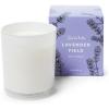 Sur La Table Lavender Field Candle, White