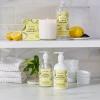 Sur La Table Lemon Bergamot Candle, White