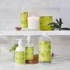 Sur La Table Olive Coriander Hand Soap, 12 oz, Green