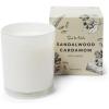 Sur La Table Sandalwood Cardamom Candle, White