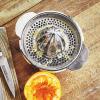 Sur La Table Stainless Steel Citrus Juicer, 13 oz, Silver