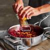 Sur La Table Stainless Steel Coarse Grater, Silver