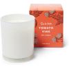 Sur La Table Tomato Vine Candle, White