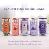 The Republic of Tea – Beautifying Botanicals® Daily Beauty Blueberry Lavender Herbal Tea Bags(36 count)(36 Count (Pack of 1))
