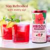 The Republic of Tea – Natural Hibiscus Tea, 36 Tea Bags, Herbal Blend, Caffeine Free, Gluten Free(36 Refill (Pack of 1))
