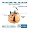 Viking 3-Ply Stainless Steel Tea Kettle, 2.6 Quart Stovetop Hot Water Pot with Tempered Glass Lid, Ergonomic Handle, Induction Ready, Slate and Blue(Rose Gold)