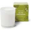 Sur La Table Olive Coriander Candle, White