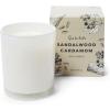 Sur La Table Sandalwood Cardamom Candle, White