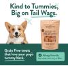 Portland Pet Food Company Pumpkin Dog Treats Healthy Biscuits for Small Medium & Large Dogs – Grain-Free, Human-Grade, All Natural Cookies, Snacks & Puppy Training Treats – Made in The USA – 5 oz(Apple & Mint)