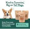 Portland Pet Food Company Pumpkin Dog Treats Healthy Biscuits for Small Medium & Large Dogs – Grain-Free, Human-Grade, All Natural Cookies, Snacks & Puppy Training Treats – Made in The USA – 5 oz(Vegan Variety)