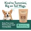 Portland Pet Food Company Pumpkin Dog Treats Healthy Biscuits for Small Medium & Large Dogs – Grain-Free, Human-Grade, All Natural Cookies, Snacks & Puppy Training Treats – Made in The USA – 5 oz(Gingerbread)