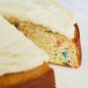 Sur La Table Confetti Cake Mix, Tan
