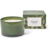 Sur La Table Balsam Clove Candle, Green