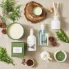 Sur La Table Balsam Clove Hand Lotion, 12 oz.