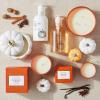 Sur La Table Figural Pumpkin Spice Candle, White