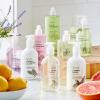 Sur La Table Hand Lotion, 12 oz, Lemon Basil