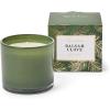 Sur La Table Balsam Clove Candle, Green