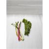 Kuhn Rikon Julienne Peeler with Blade Protector, Stainless Steel Handle(Leafy Greens Zipper)