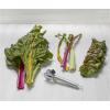 Kuhn Rikon Julienne Peeler with Blade Protector, Stainless Steel Handle(Leafy Greens Zipper)