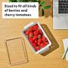 OXO Good Grips Produce Saver – Long Bin(Berry Keeper)