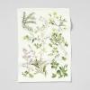 Sur La Table Botanicals Linen Kitchen Towel, Green