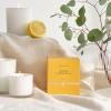 Sur La Table Lemon & Bergamot Candle, White