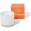 Sur La Table Blood Orange & Yuzu Candle, White