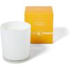 Sur La Table Coconut & Mango Candle, Orange