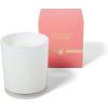 Sur La Table Grapefruit & Sugar Scented Candle – 10 oz Citrus Bloom Soy Wax Blend with Tangerine & Orange Essential Oils, Clean Burn up to 40 Hours in Glass Jar