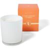 Sur La Table Sicilian Blood Orange Scented Candle, Hand-Poured Soy Blend with Bright Citrus and Tropical Floral Fragrance