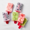 Sur La Table Ice Pop Molds with Case, Set of 6 Molds with Fold-Out Handles Storage Case