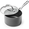 Sur La Table Signature Hard Anodized Nonstick Saucepan, Black(Black)