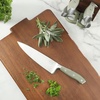 Sur La Table Kitchen Essentials Tasting Kitchen High-Carbon German Steel 7 Piece Full Tang Forged Cutlery Knife Block Set – Eggshell White W/Ashwood Block(Juniper Green w/ Ashwood Block)