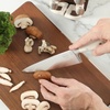 Sur La Table Kitchen Essentials Tasting Kitchen High-Carbon German Steel 7 Piece Full Tang Forged Cutlery Knife Block Set – Eggshell White W/Ashwood Block(Eggshell White w/ Ashwood Block)