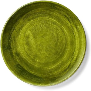 Sur La Table Orchid Solid Green Melamine Dinner Plate