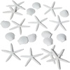 Sur La Table Seaside 20-Piece Scatter, White