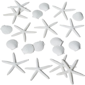 Sur La Table Seaside 20-Piece Scatter, White