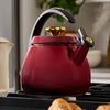 Le Creuset Enamel on Steel Cloche Kettle, 2.2 qt., Sea Salt(Garnet/Gold Star)